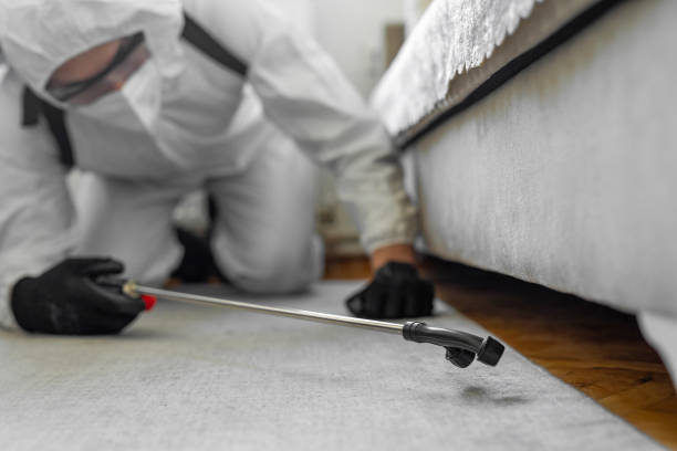 Professional Bed Bug Control technician working in Silver Lake, FL